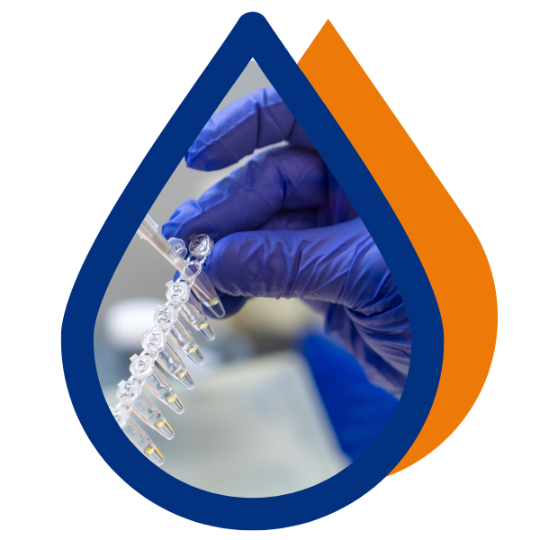 Attribute Graphic Mod 3