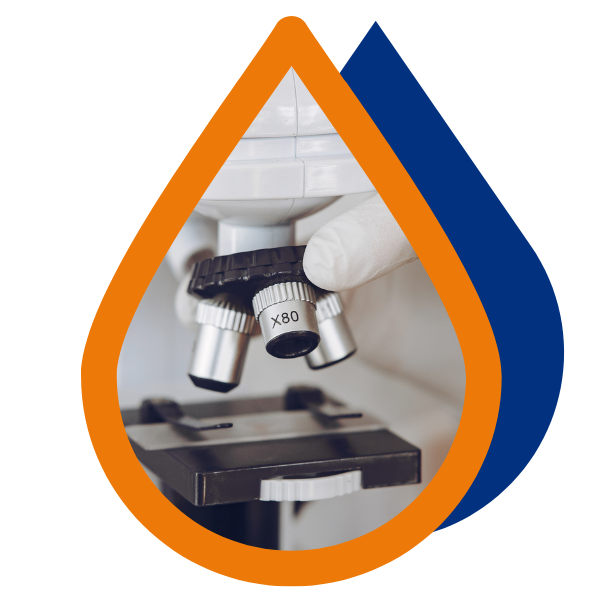 Attribute Graphic Mod 2